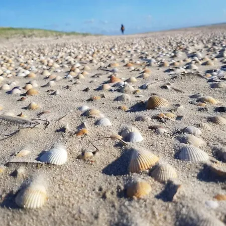 18 Person In Romo-by Traum *